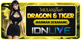 DRAGON & TIGER