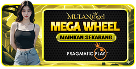 MEGA WHEEL