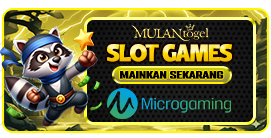 MICRO GAMING